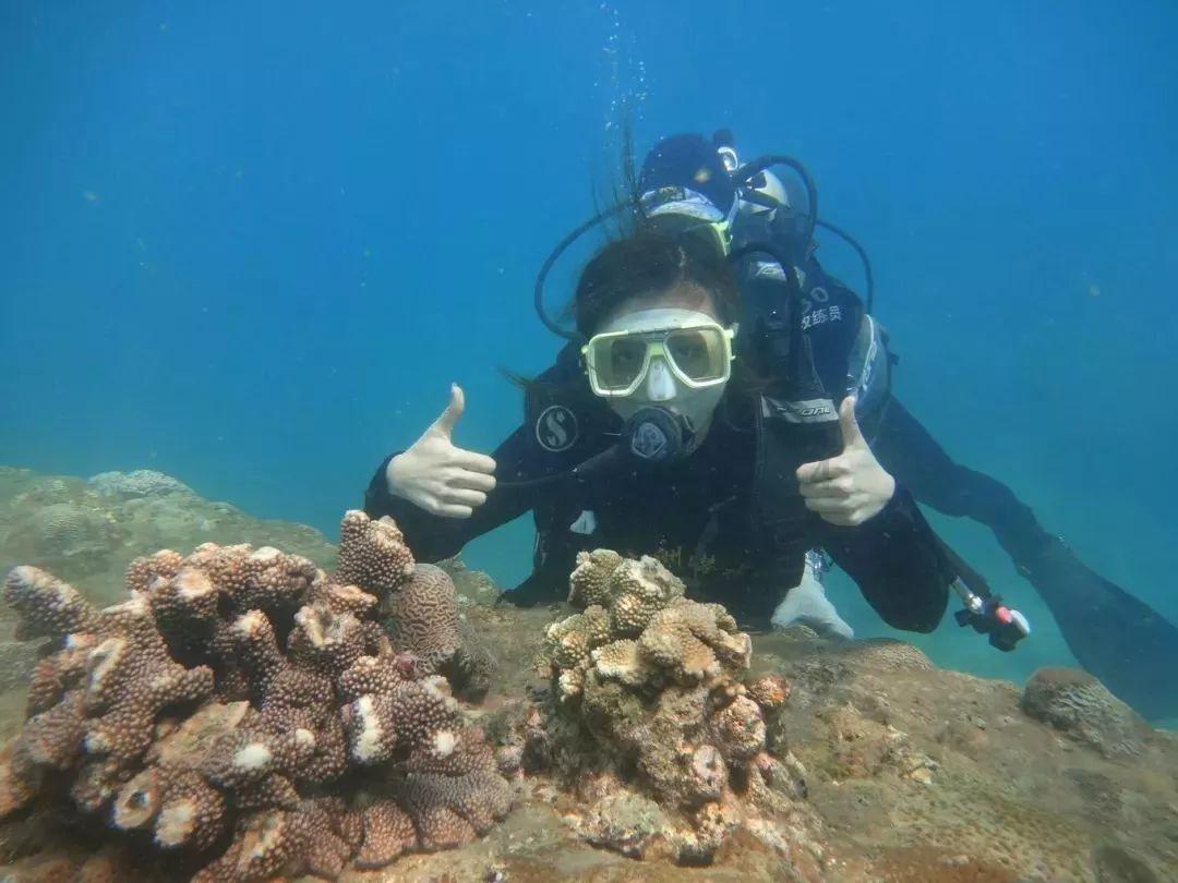 海绵宝宝寻珍宝